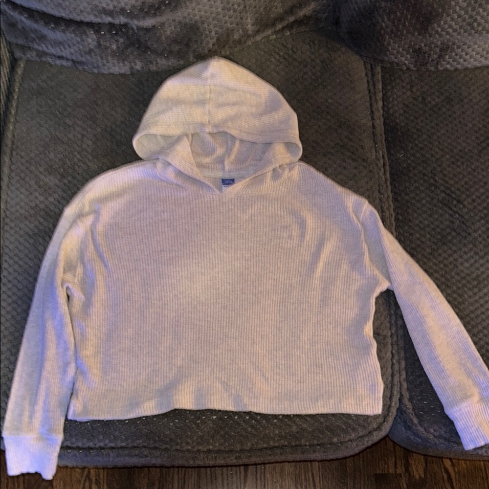 Hanes Light Gray Hooded Sweater